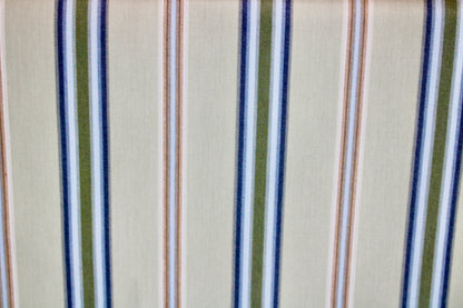 SUNBRELLA UPHOLSTERY CANVAS FABRIC WATER & STAIN REPELLENT 55" WIDE SALTILLO SAGEBRUSH BY THE YARD