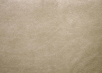RICHLOOM VINYL FABRIC FAUX LEATHER UPHOLSTERY BEIGE 55" WIDE WITH BACKING BY THE YARD